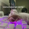 wikikeeper#2262