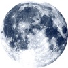GreyWisp#21229