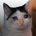 OneNote#21110