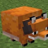 grut50#2371